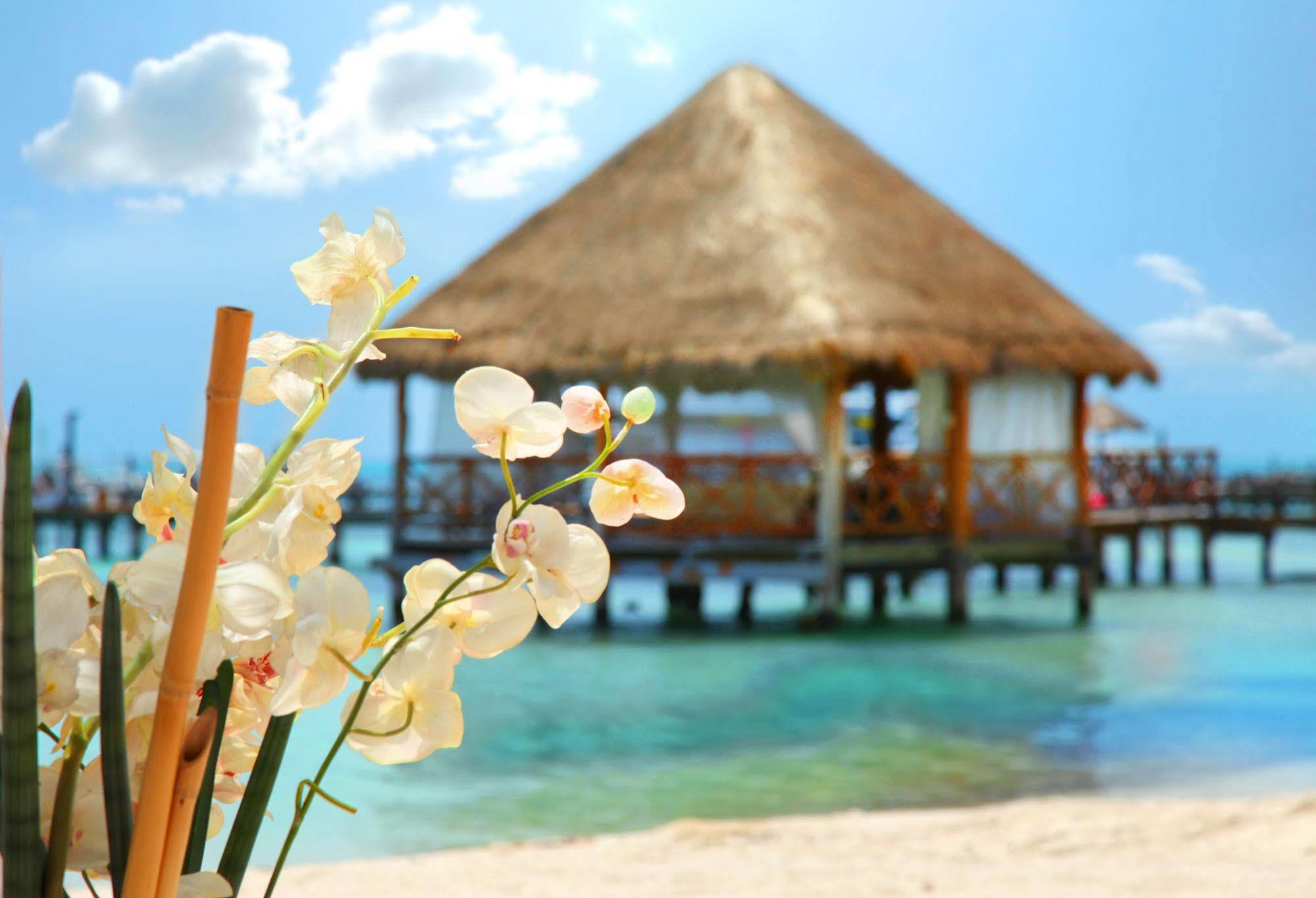 Almare, A Luxury Collection Resort, Isla Mujeres, Adult All-Inclusive Екстериор снимка